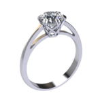 Lepus Beta Ring